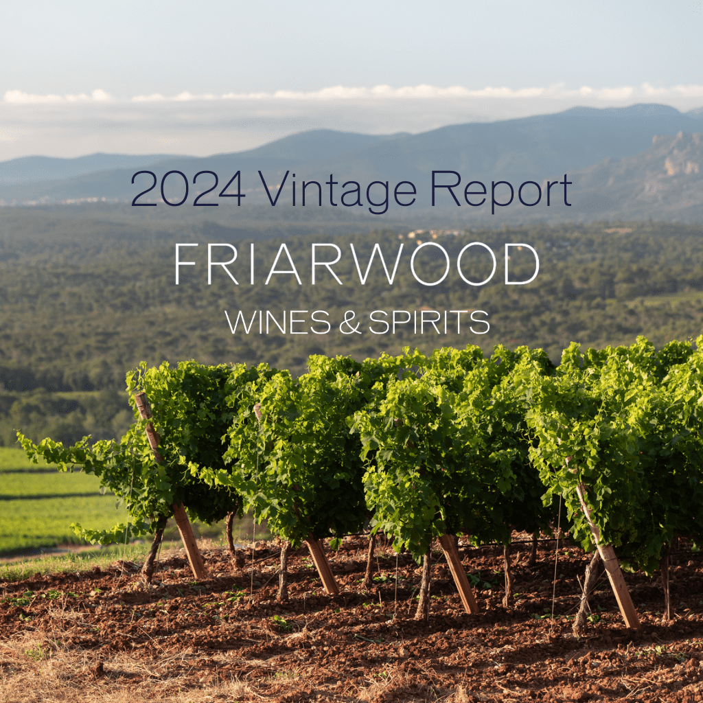 2024 Vintage Report: What to Expect - Friarwood Wines & Spirits