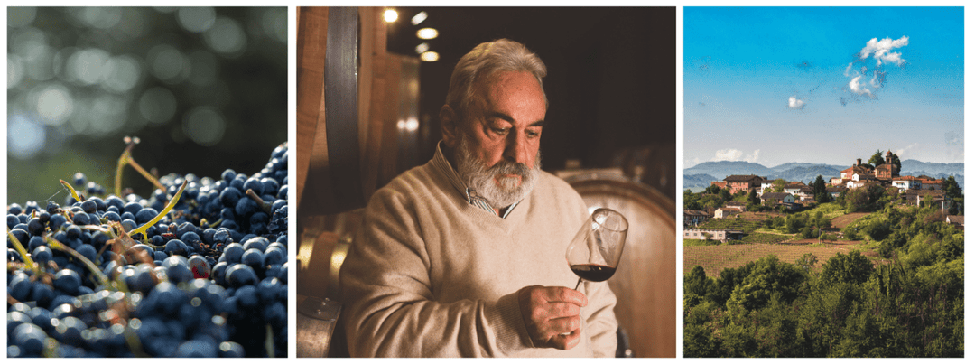 Barolo vs Barbaresco: What’s the Difference? - Friarwood Wines & Spirits