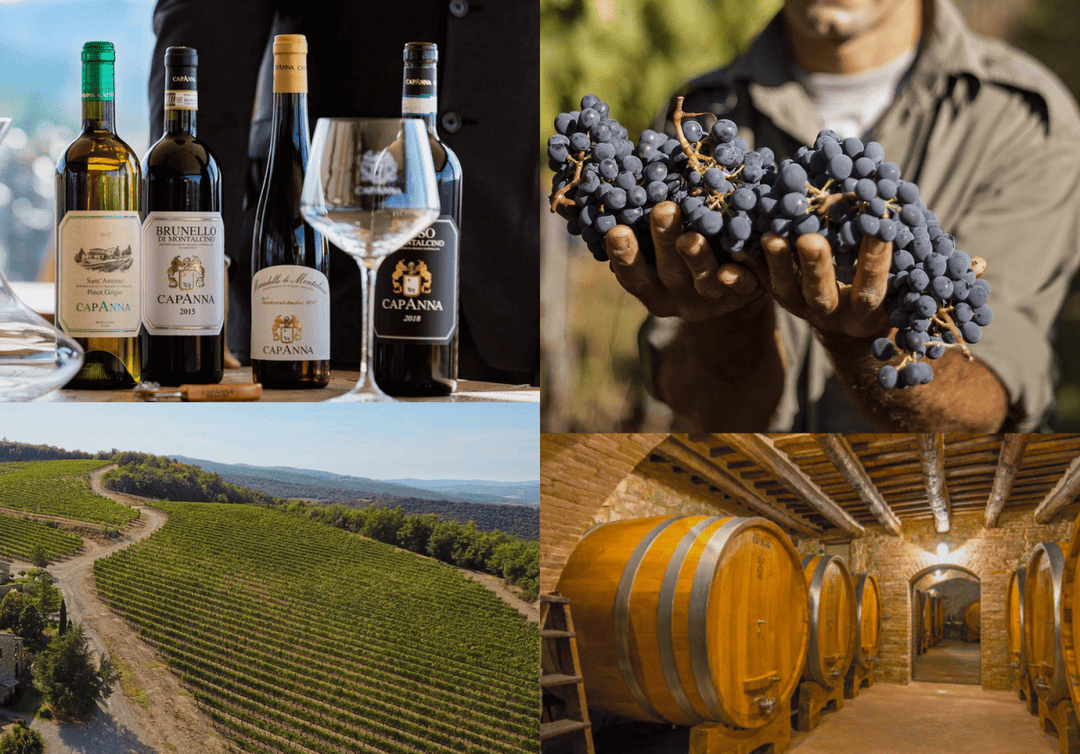 Capanna Winery: Bringing the Essence of Brunello to Palm Court Brasserie - Friarwood Wines & Spirits