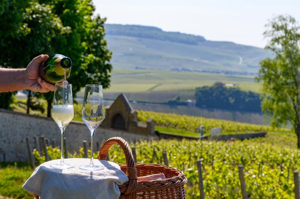 Discovering the Sparkling World of Champagne: A Guide & Friarwood’s Top Picks for the Festive Season - Friarwood Wines & Spirits