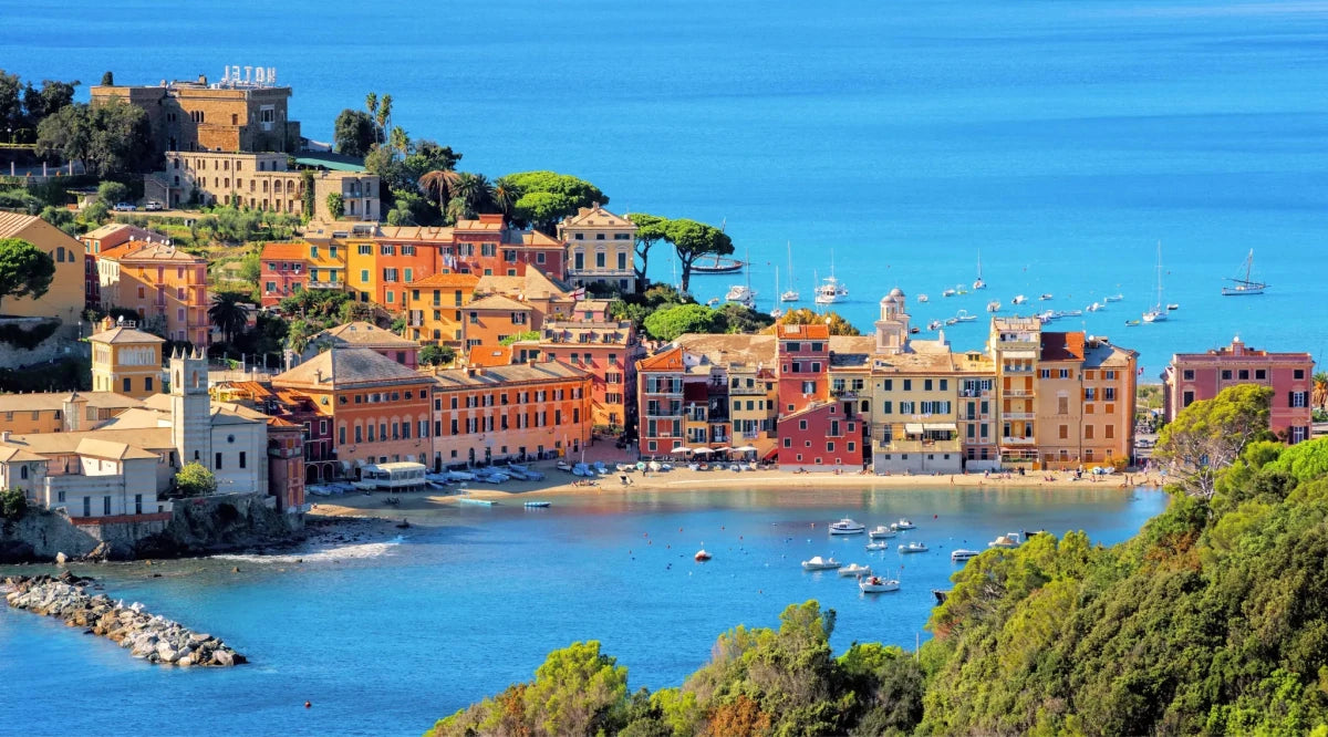 Explore the Wines of the Italian Riviera and Beyond - Friarwood Wines & Spirits