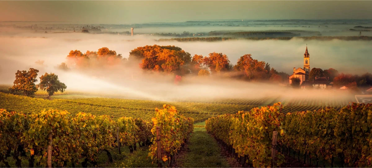 Friarwood's Ultimate Guide to Bordeaux Classifications - Friarwood Wines & Spirits