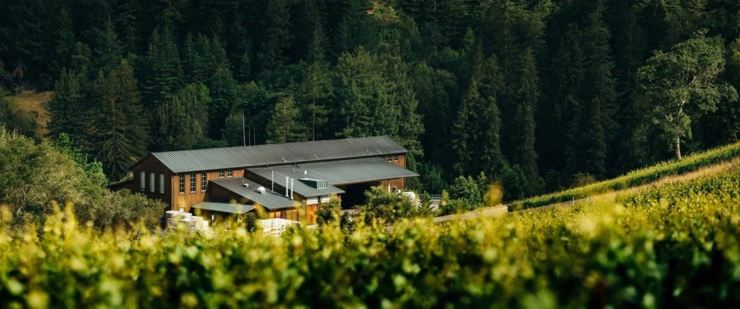 Joseph Phelps: From Napa Pioneer to Global Icon - Friarwood Wines & Spirits