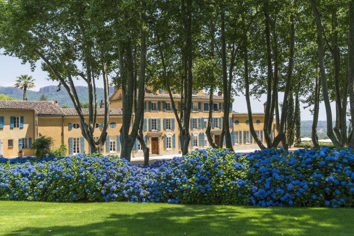 The Rosé Revolution: How Château d'Esclans Transformed the World of Pink Wine - Friarwood Wines & Spirits