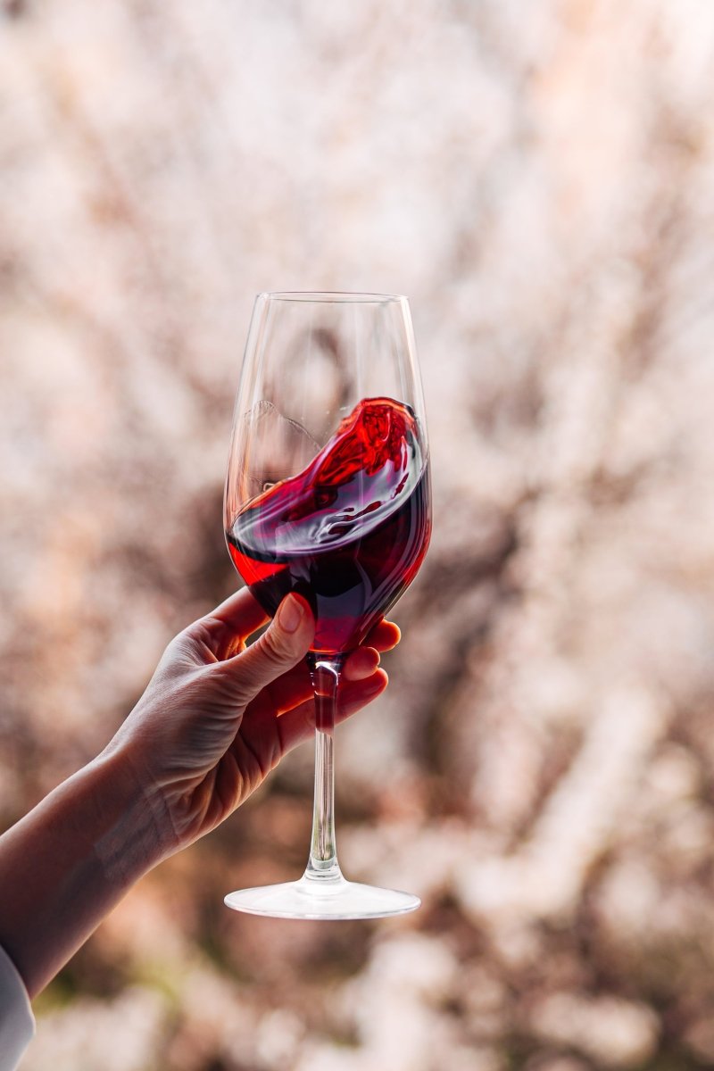 The Science Behind Tannins - Friarwood Wines & Spirits