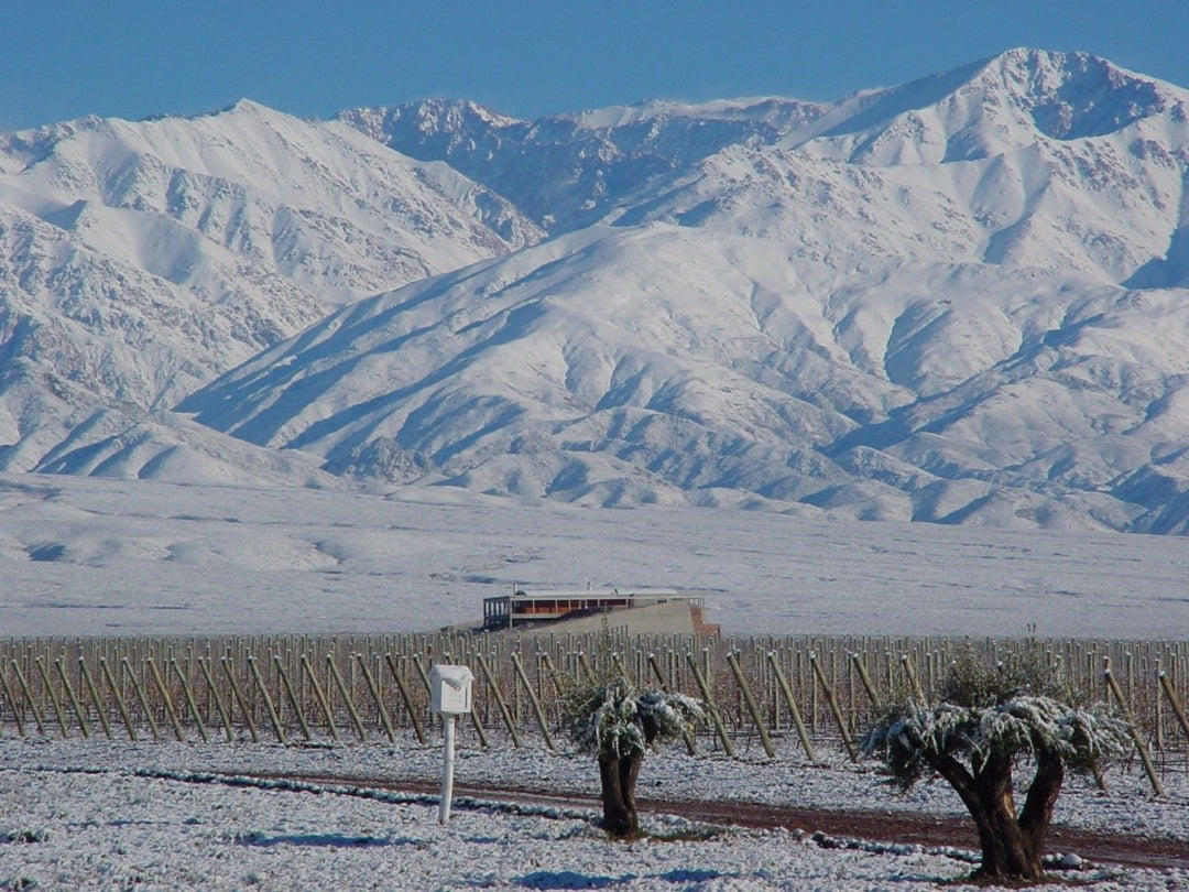 Top 5 Wines and 2 Spirits for December - Friarwood Wines & Spirits