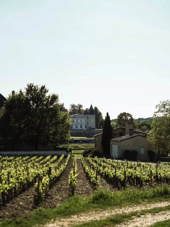 1995 Chateau Lafite Rothschild - Friarwood Wines & Spirits