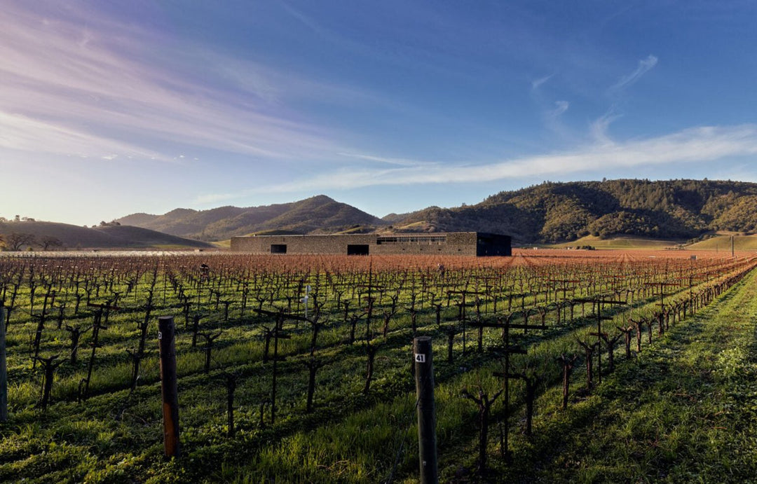 2002 Dominus Estate - Friarwood Wines & Spirits