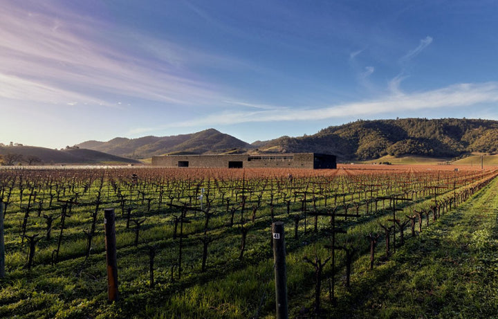 2002 Dominus Estate - Friarwood Wines & Spirits