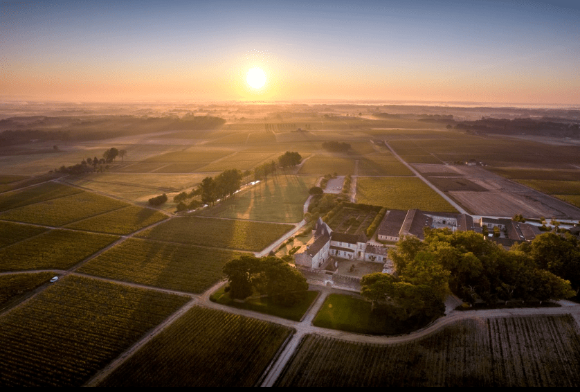 2008 Chateau d'Yquem - Friarwood Wines & Spirits