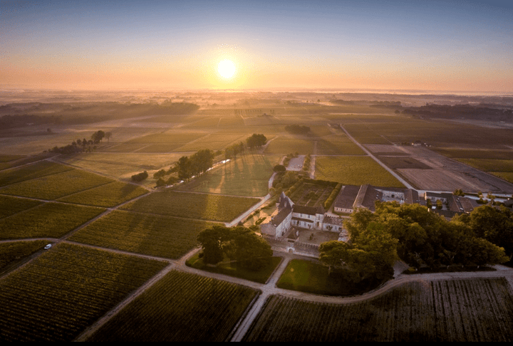 2008 Chateau d'Yquem - Friarwood Wines & Spirits