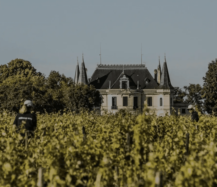 2008 Chateau Palmer - Friarwood Wines & Spirits