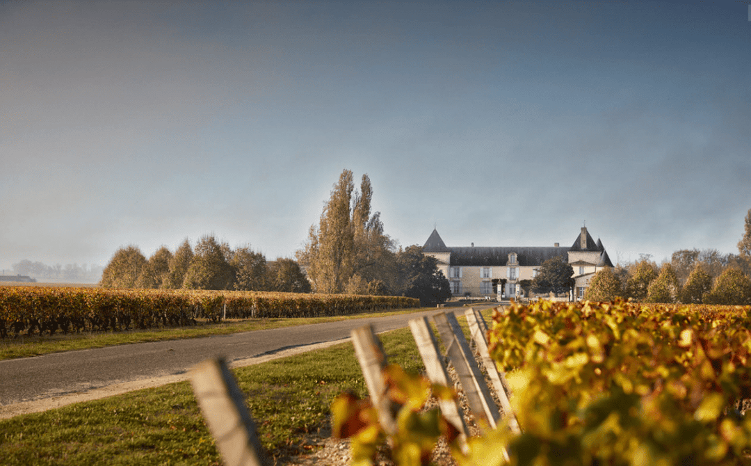2010 Chateau Suduiraut - Friarwood Wines & Spirits