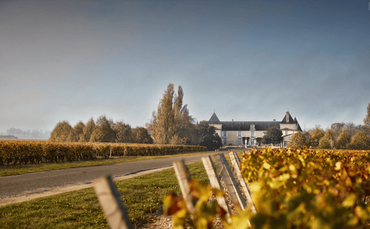 2010 Chateau Suduiraut - Friarwood Wines & Spirits