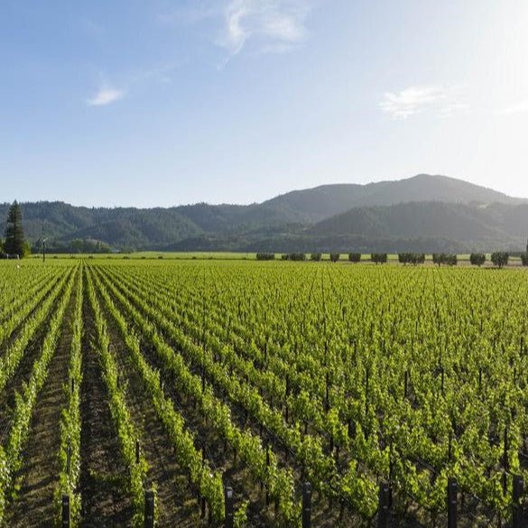 2011 Opus One - Friarwood Wines & Spirits