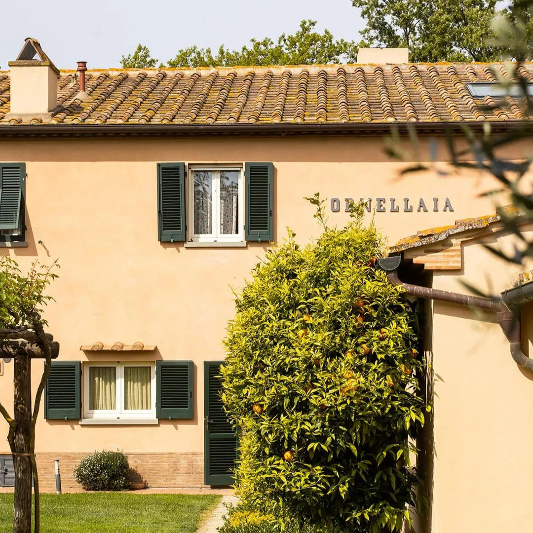 2011 Tenuta dell'Ornellaia, Bolgheri Superiore - Friarwood Wines & Spirits