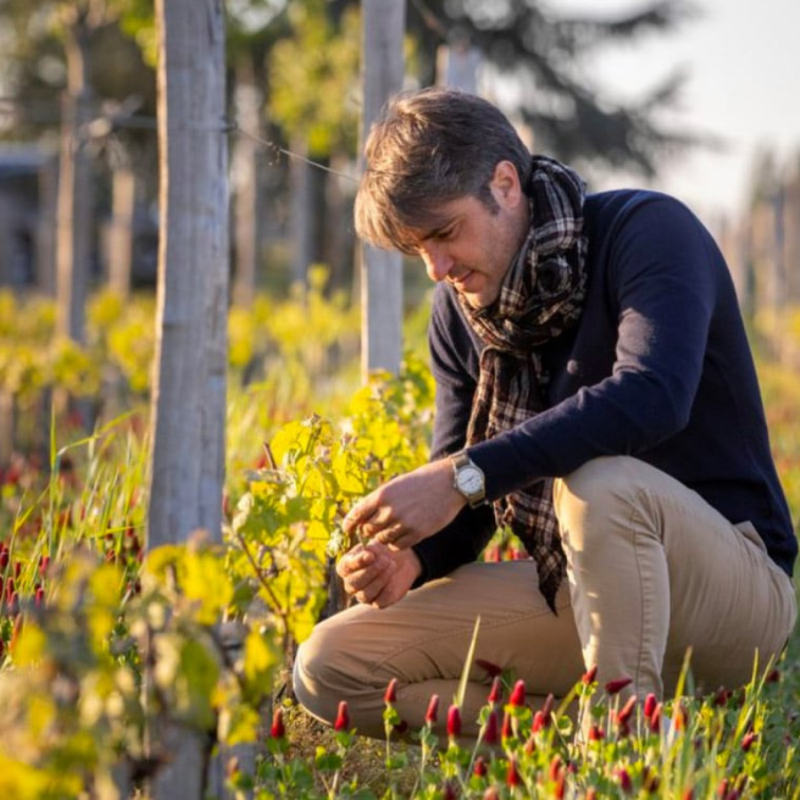 2012 Chateau Cheval Blanc - Friarwood Wines & Spirits