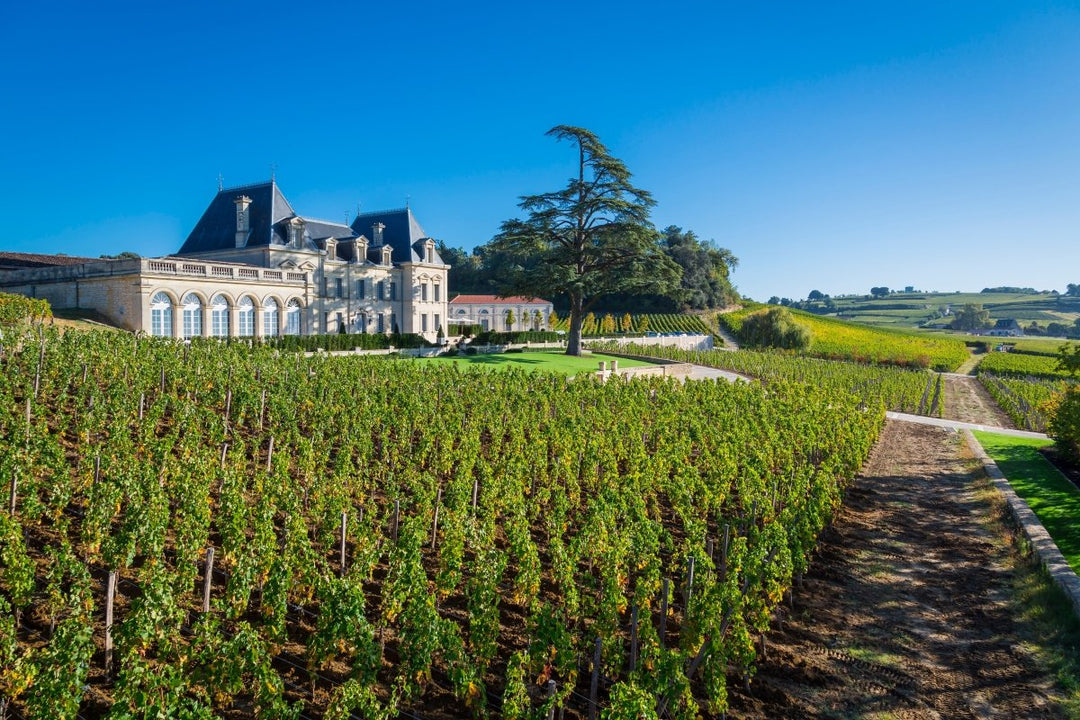 2014 Chateau Fonplegade - Friarwood Wines & Spirits