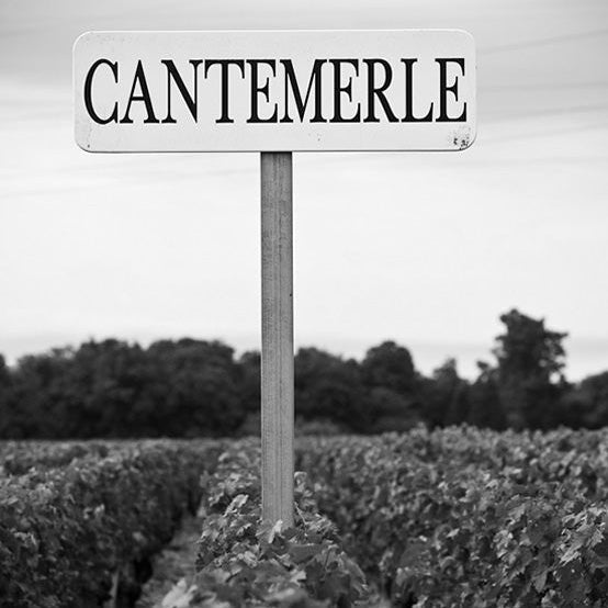 2016 Cantemerle, Les Allees de Cantemerle - Friarwood Wines & Spirits