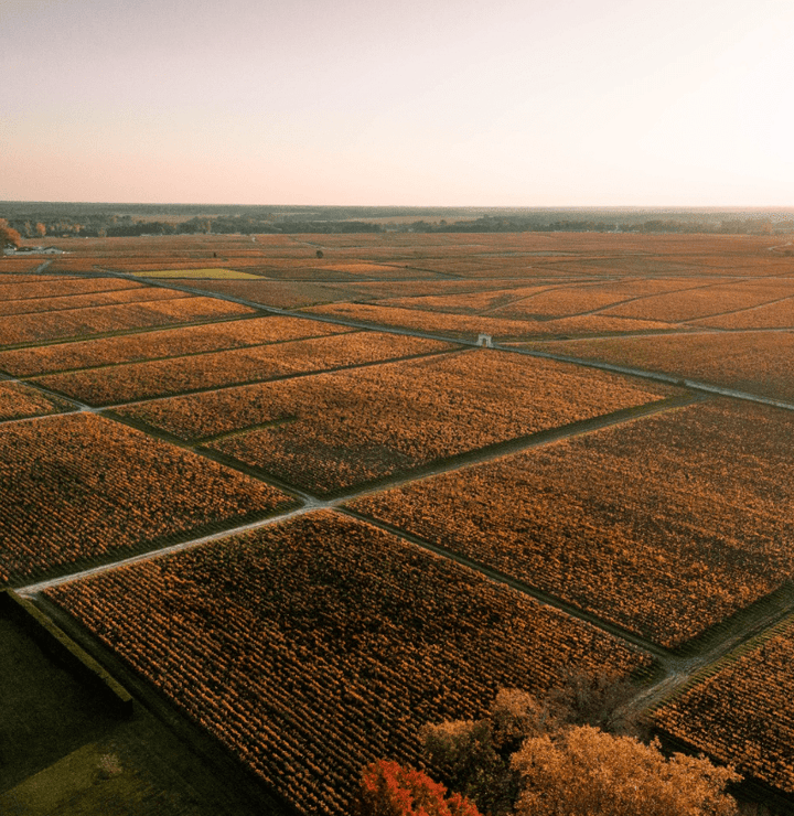 2016 Chateau d'Issan - Friarwood Wines & Spirits