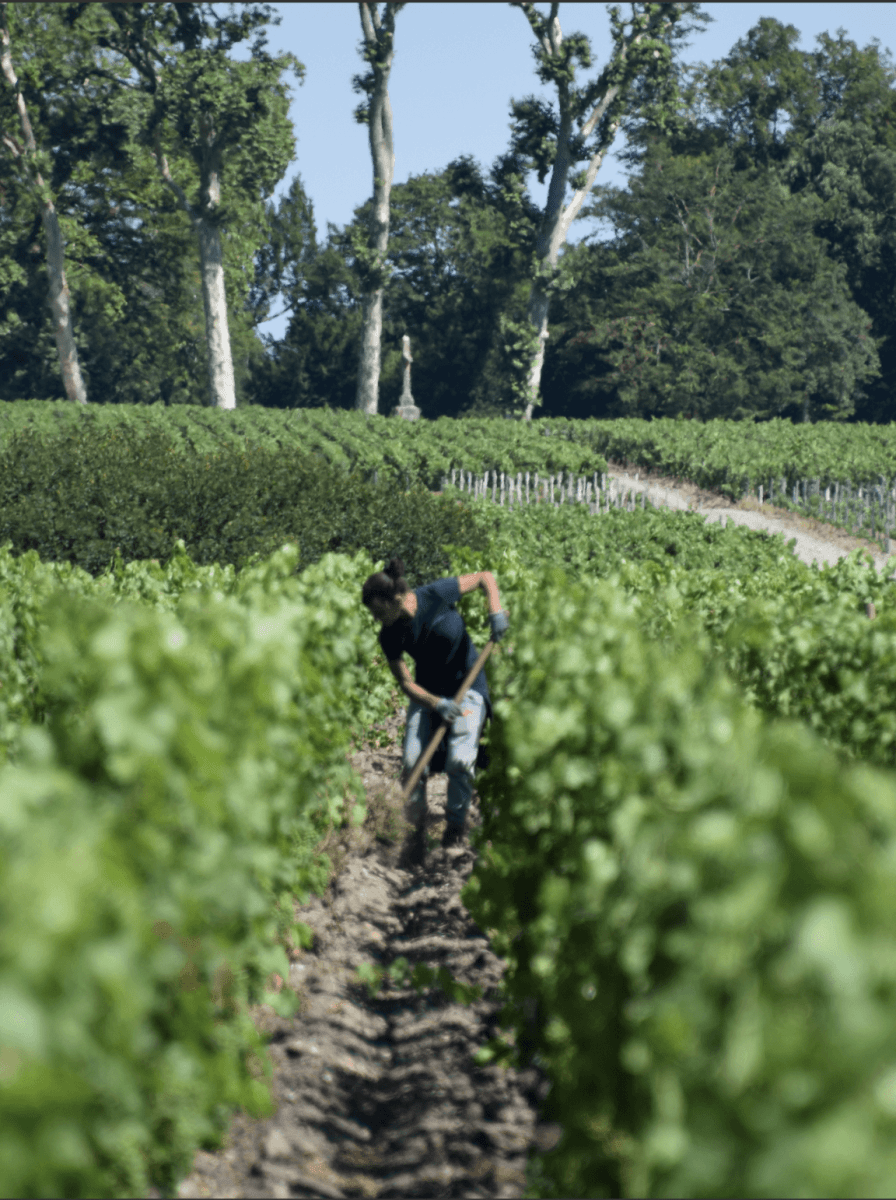 2016 Chateau Leoville - Poyferre, Magnum - Friarwood Wines & Spirits