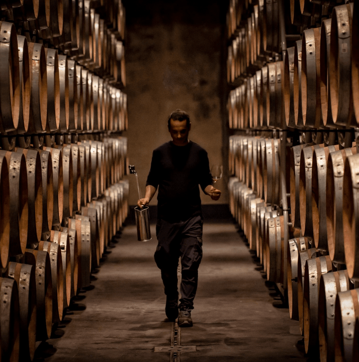 2016 Tenuta San Guido, Sassicaia - Friarwood Wines & Spirits
