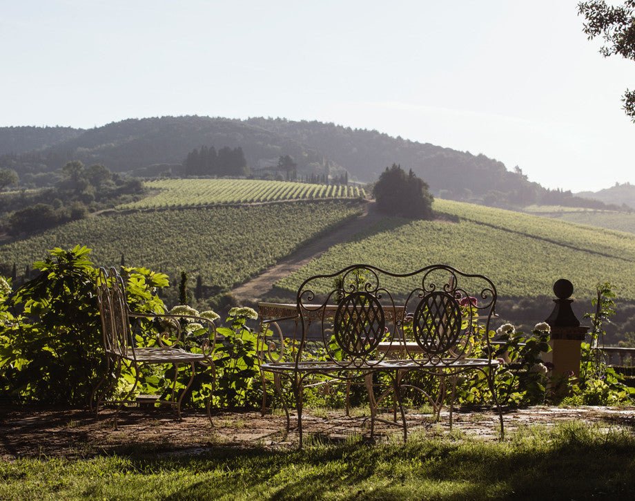 2019 Antinori, Tignanello - Friarwood Wines & Spirits