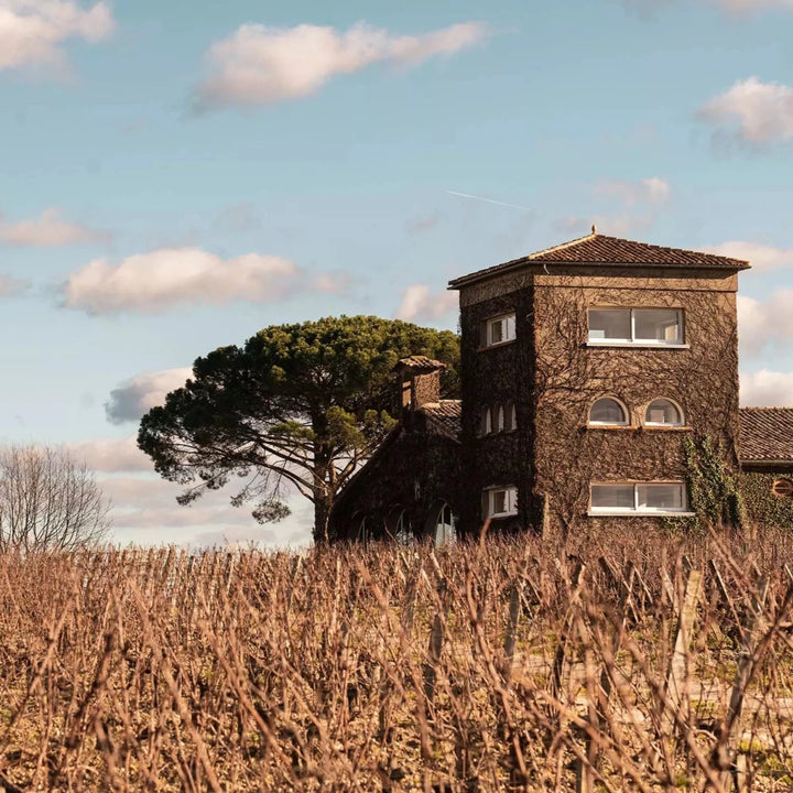 2019 Chateau Rieussec, Les Carmes de Rieussec - Friarwood Wines & Spirits