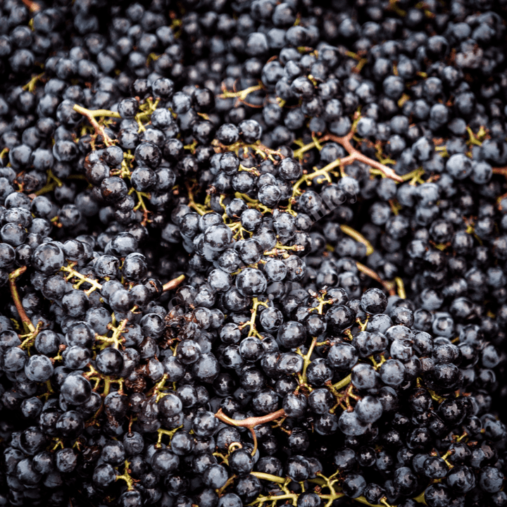 2020 Chateau Batailley - Friarwood Wines & Spirits