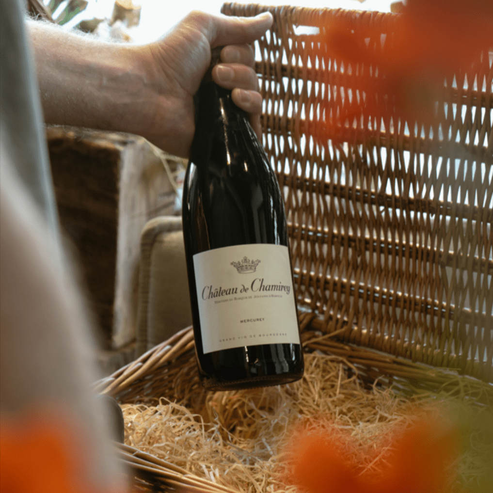 2020 Chateau de Chamirey, Mercurey Red - Friarwood Wines & Spirits