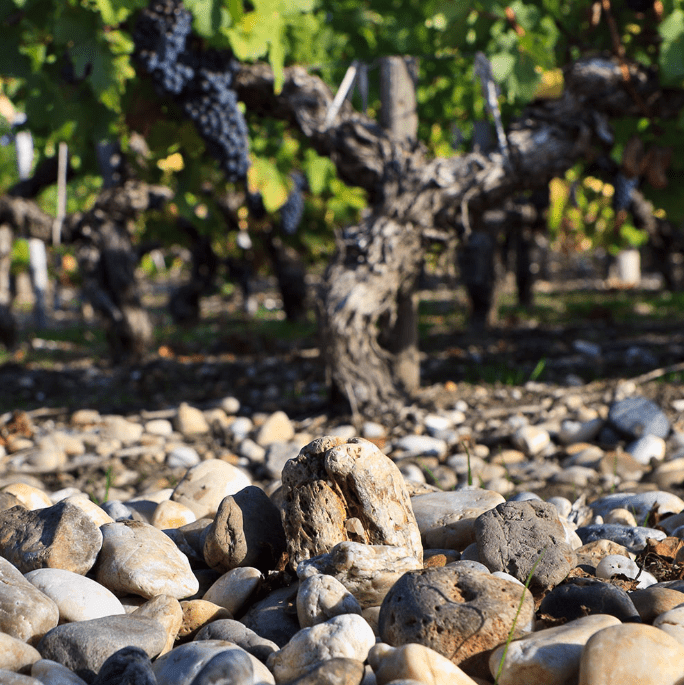 2020 Chateau Montrose, Dame de Montrose - Friarwood Wines & Spirits