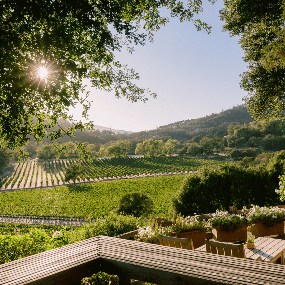 2022 Joseph Phelps, Insignia - Friarwood Wines & Spirits