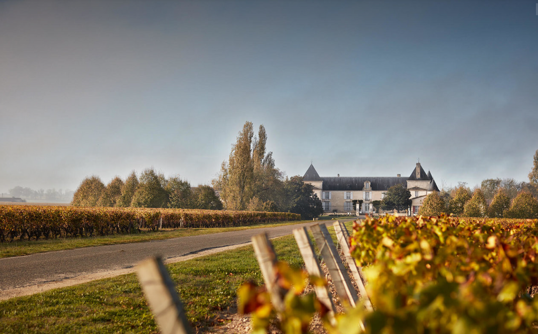 Chateau surrounded by vineyards with a clear sky