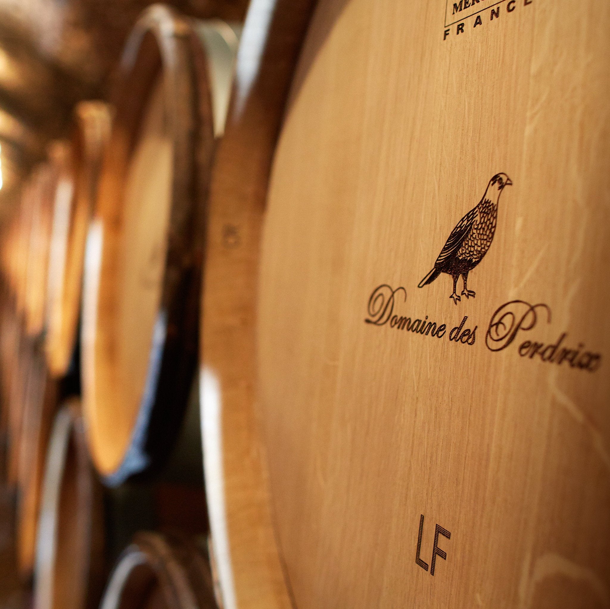 Domaine des Perdrix Echezeaux Grand Cru 2020 | Elegant Red