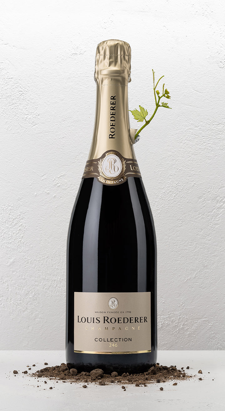 Louis Roederer Collection 246 Brut Champagne bottle on background with soil