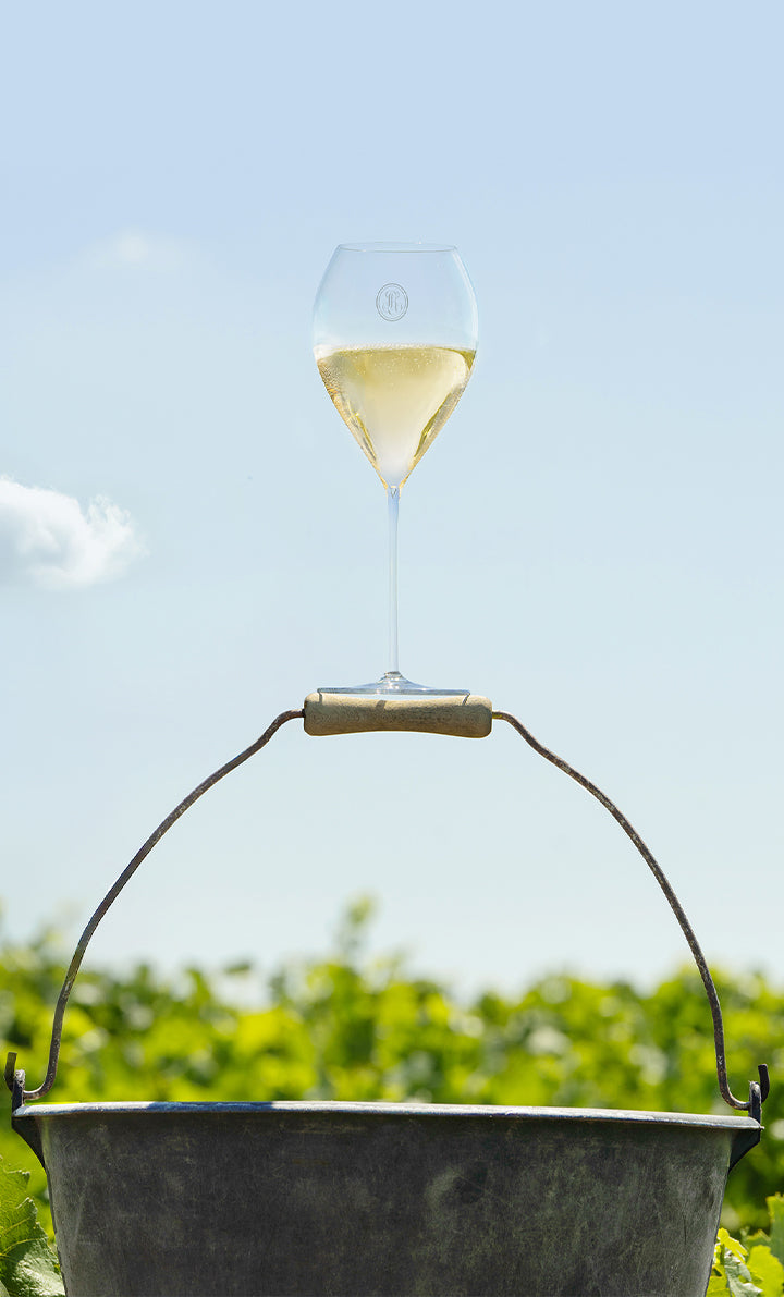 Louis Roederer Collection 246 Brut Champagne