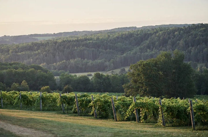 Benjamin Bridge, Brut, 2013, Traditional Method, Canadian Sparkling - Friarwood Wines & Spirits