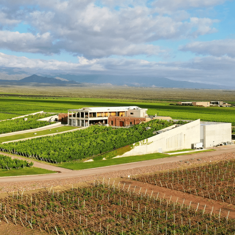 Bodega Monteviejo, Festivo Malbec, 2022 - Friarwood Wines & Spirits