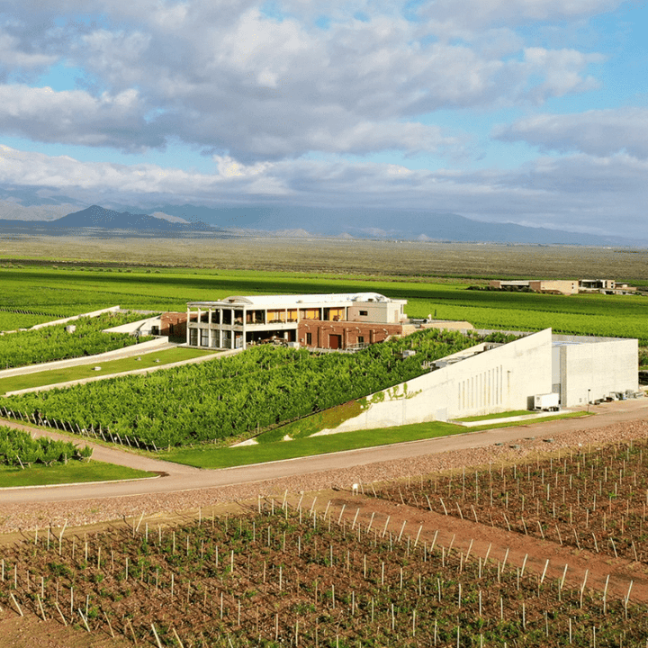 Bodega Monteviejo, Festivo Malbec, 2022 - Friarwood Wines & Spirits