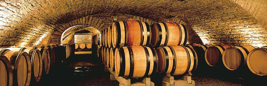 Bodegas Francisco Casas, Camparron Novum, 2023 - Friarwood Wines & Spirits