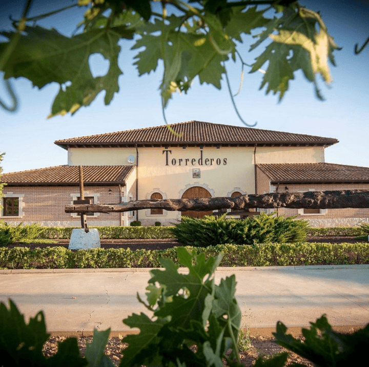 Bodegas Torrederos, Ribera del Duero Crianza, 2018 - Friarwood Wines & Spirits