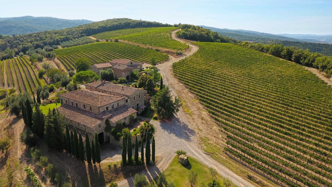 Capanna, Brunello di Montalcino, 2019 - Friarwood Wines & Spirits