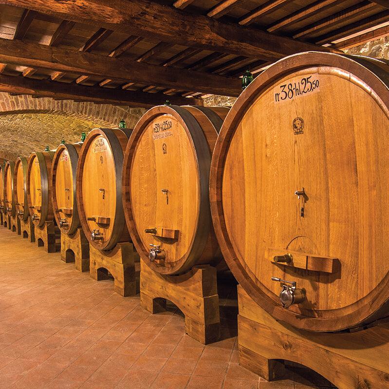 Capanna, SanGioBi, Tuscan White Wine 2024 - Friarwood Wines & Spirits