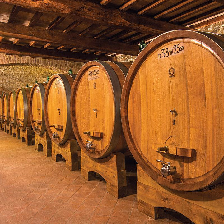Capanna, SanGioBi, Tuscan White Wine 2024 - Friarwood Wines & Spirits