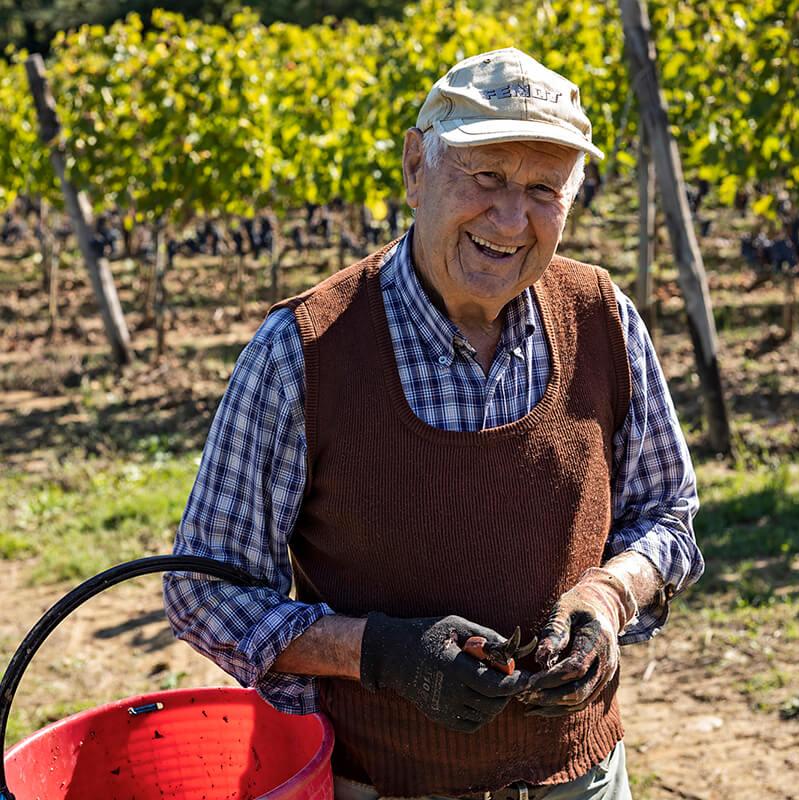 Capanna, SanGioBi, Tuscan White Wine 2024 - Friarwood Wines & Spirits