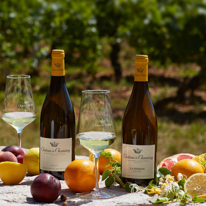 Chateau de Chamirey, Mercurey 1er Cru 'La Mission' White, 2023 - Friarwood Wines & Spirits