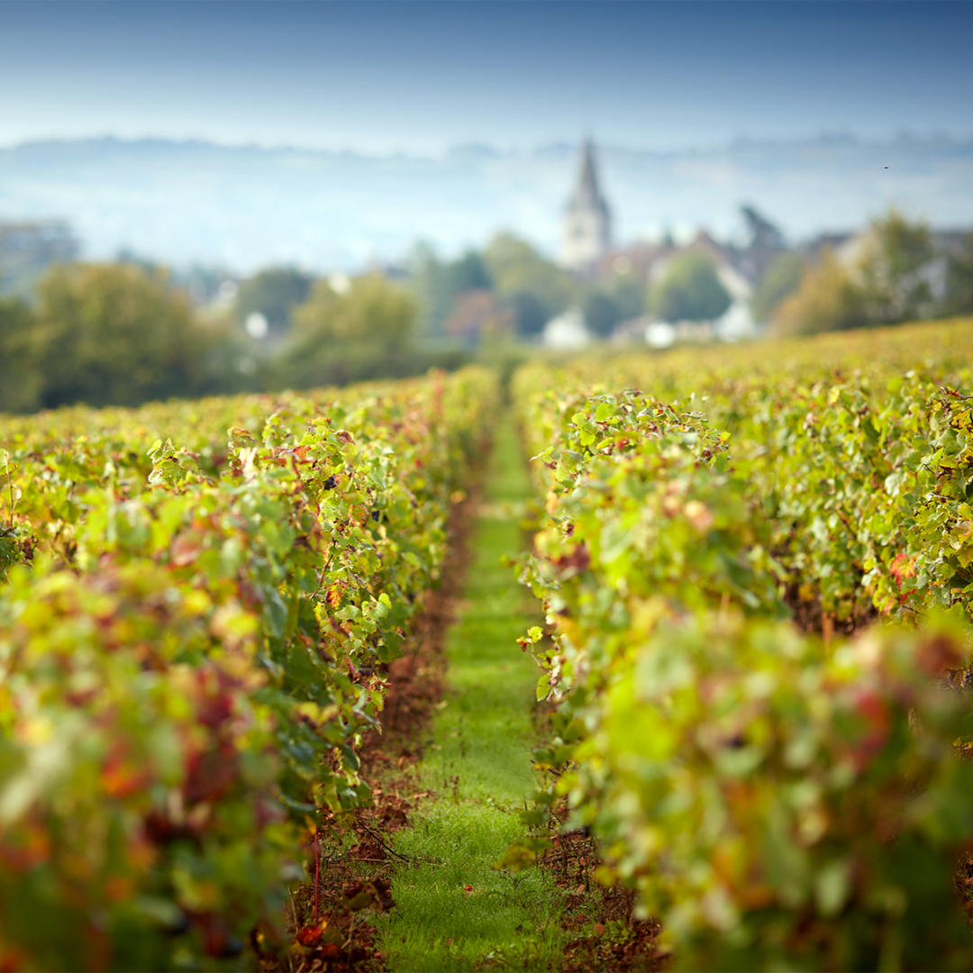Chateau de Chamirey, Mercurey 1er Cru 'La Mission' White, 2023 - Friarwood Wines & Spirits