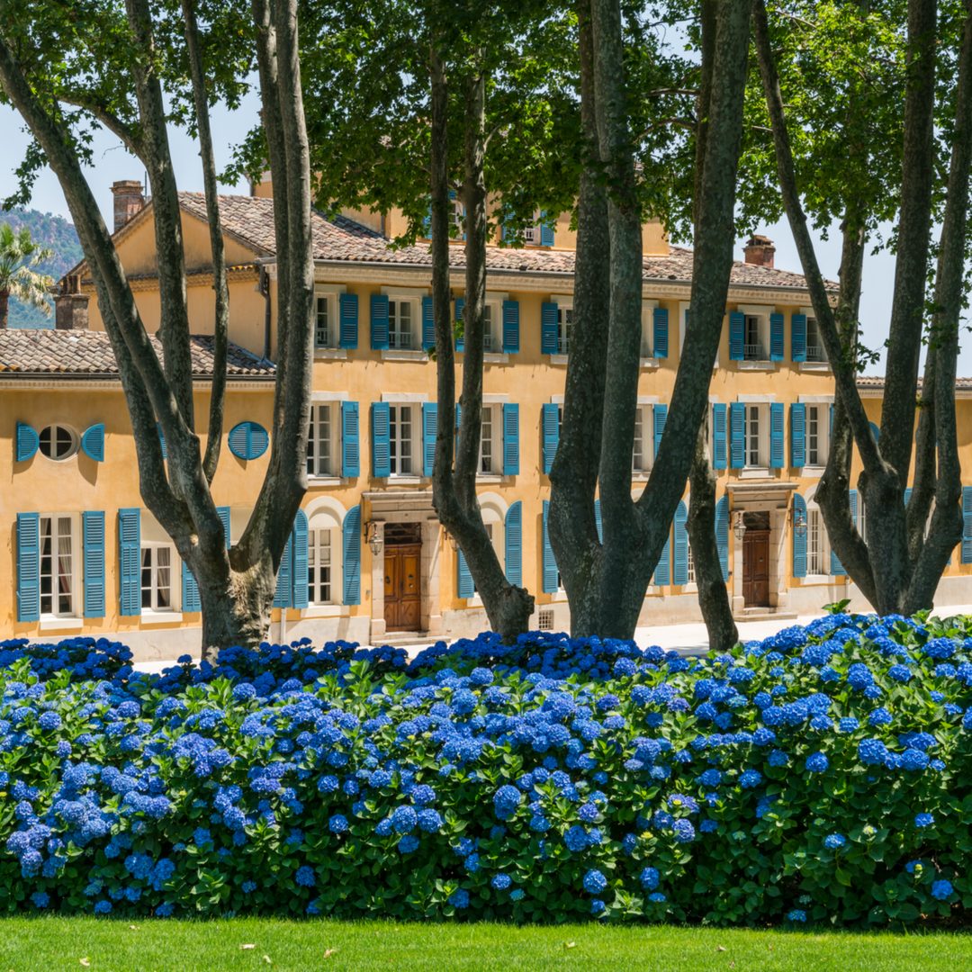 Chateau D'Esclans, Les Clans, Provence Rose, 2022 - Friarwood Wines & Spirits