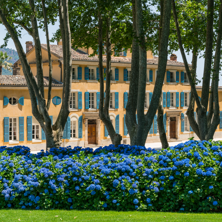 Chateau D'Esclans, Les Clans, Provence Rose, 2022 - Friarwood Wines & Spirits