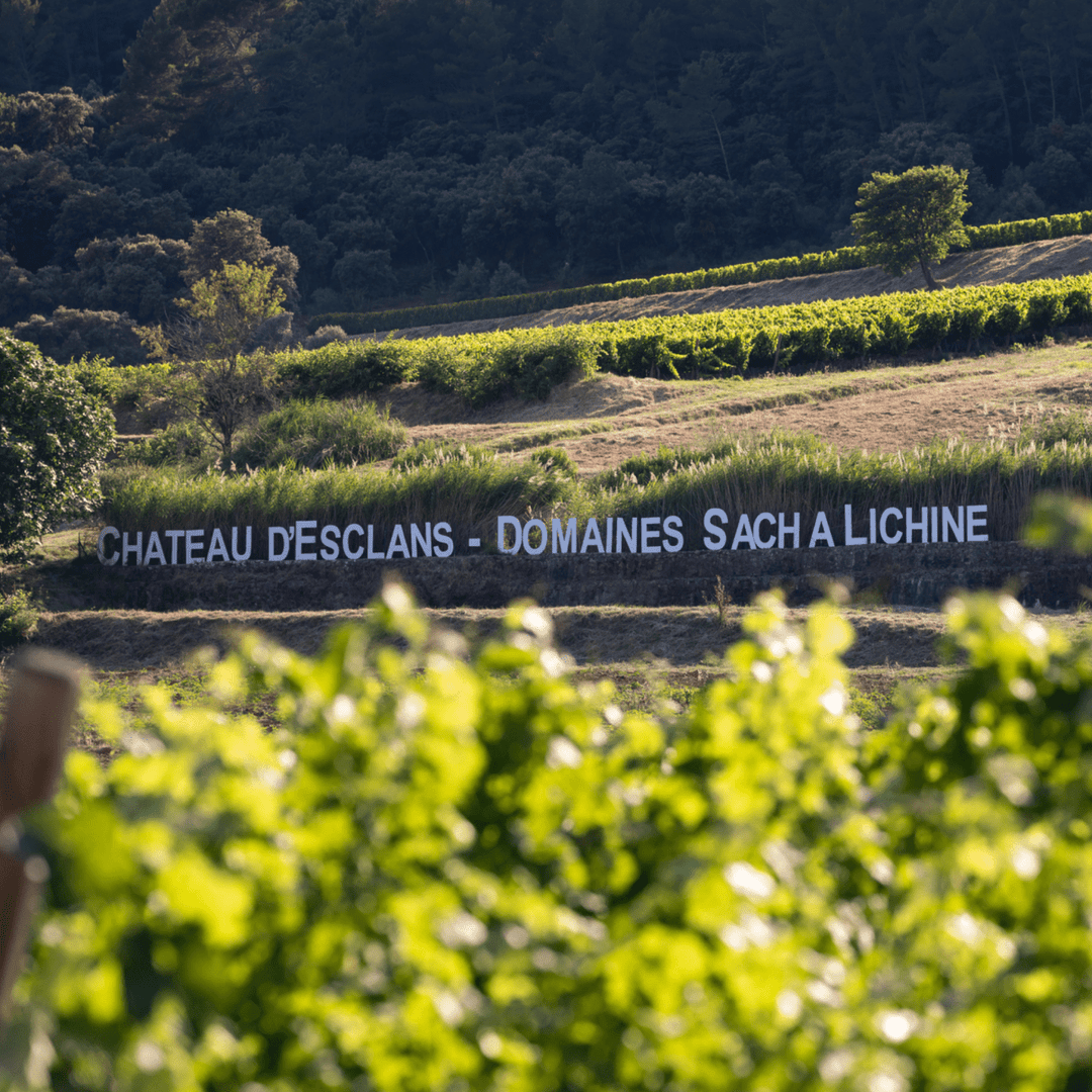 Chateau D'Esclans, Les Clans, Provence Rose, 2022 - Friarwood Wines & Spirits